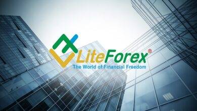 What Does LiteForex Malaysia For The New Traders
