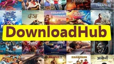 Alternatives to DownloadHub WS