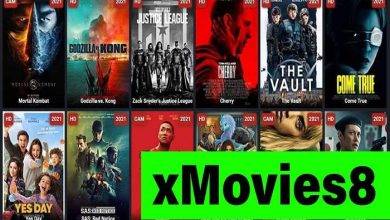 How to Download Movies From Xmovies8 and Other Movie Streaming Websites