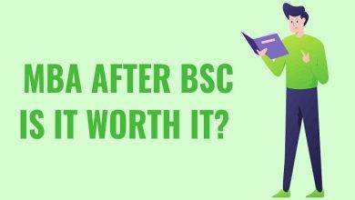 Is BSc IT Worth It