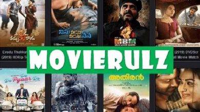 Movierulz Plz Review