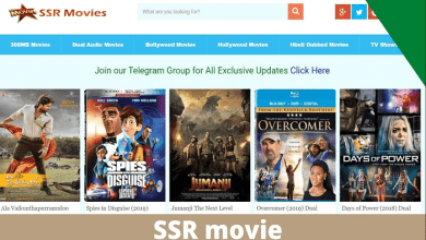 SSRMovies APK A Safe Way to Download Your Favorite Movies and TV Shows
