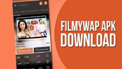 The Benefits of Downloading the Old Version of the Filmywap App