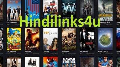 The Truth About Hindilinks4U
