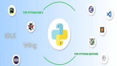 What Does IDE Stand For Python