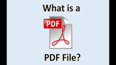 What is PDF Full Text