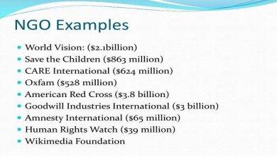 What is an Example of NGO
