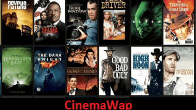Why Should You Use a CinemaWap Movie Download