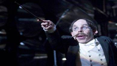 warwick davis flitwick